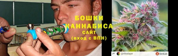 шишки Магадан