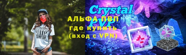 шишки Магадан