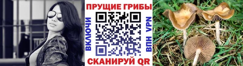 Галлюциногенные грибы мухоморы  Северск 