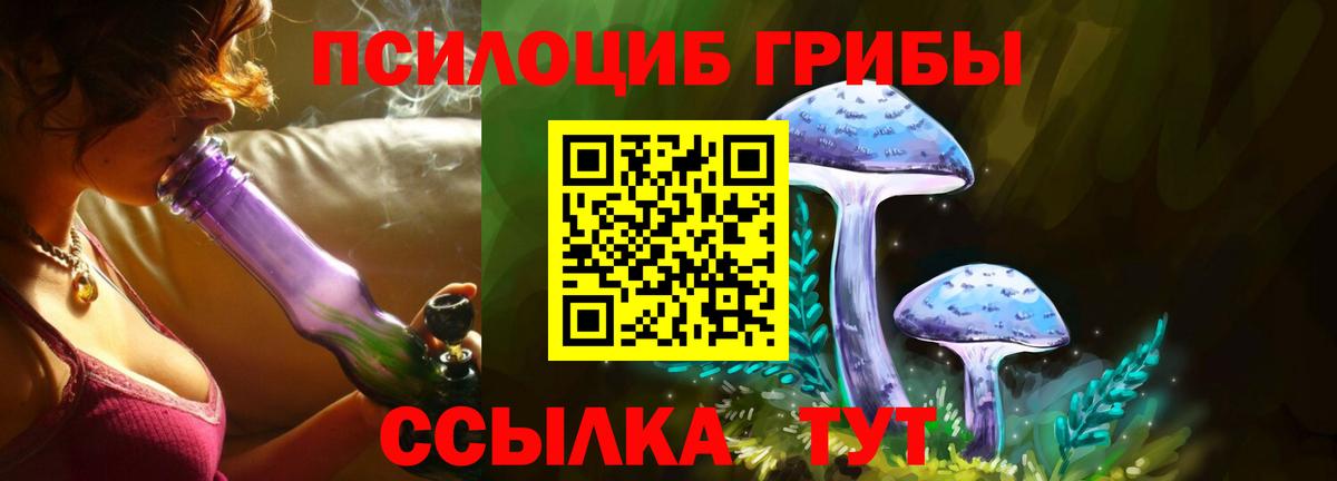 Северск  Галлюциногенные грибы ЛСД  Вход с VPN 